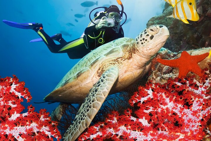 9-Day Wild Sri Lanka: Rainforests, Leopards & Marine Life - Sri Lanka Tour